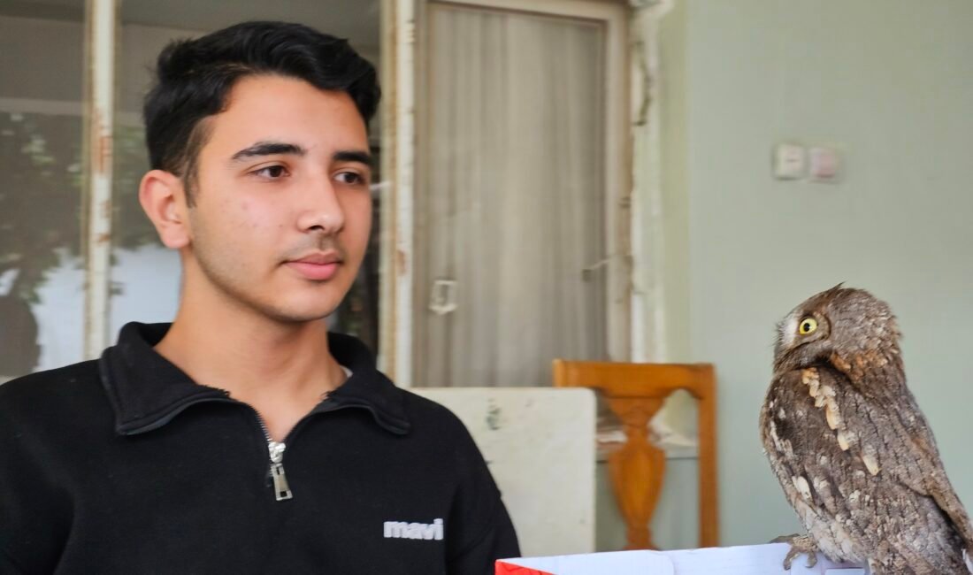 14 yaşındaki Berk, yaralı bulduğu İshak kuşunun yaşama tutunmasını sağladı Alican GÜMÜŞ/HATAY, (DHA)-HATAY'ın Samandağ ilçesinde 14 yaşındaki Ali Berk Arslan,