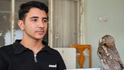 Alican GÜMÜŞ/HATAY, (DHA)-HATAY'ın Samandağ ilçesinde 14 yaşındaki Ali Berk Arslan,