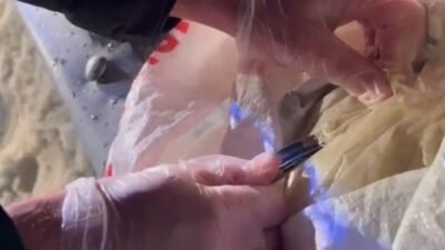 ANKARA, (DHA)- İÇİŞLERİ Bakanlığı’ndan yapılan açıklamada, 25 ilde uyuşturucu madde