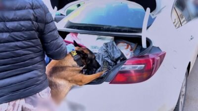 Umutcan ÖREN/ANKARA, (DHA)- İÇİŞLERİ Bakanlığı, son 1 haftada 73 ilde