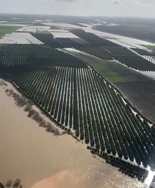Adana’da tarım arazileri su altında kaldı; ‘Üreticiler yeniden ekim yapacak’ Yusuf YILDIZ-Eser PAZARBAŞI/ADANA, (DHA) - ADANA'da Ramazan Bayramı'nda etkili olan