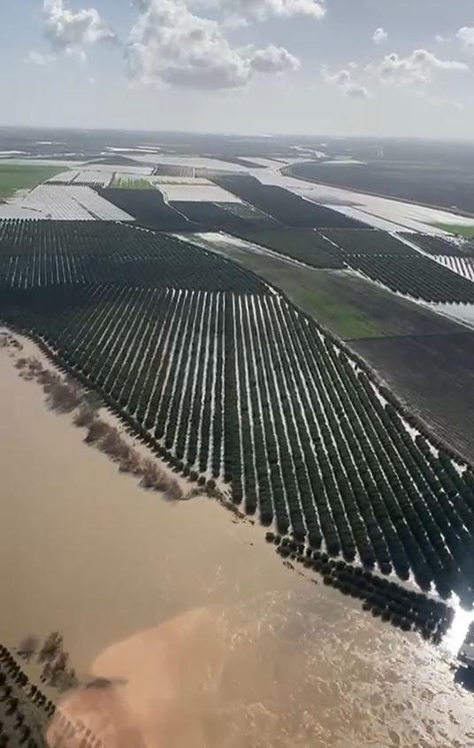 Yusuf YILDIZ-Eser PAZARBAŞI/ADANA, (DHA) - ADANA'da Ramazan Bayramı'nda etkili olan