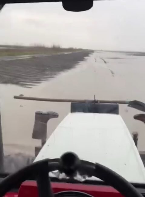 ADANA, (DHA)- ADANA'nın yüksek rakımlı ilçeleri Pozantı ve Aladağ'da kar