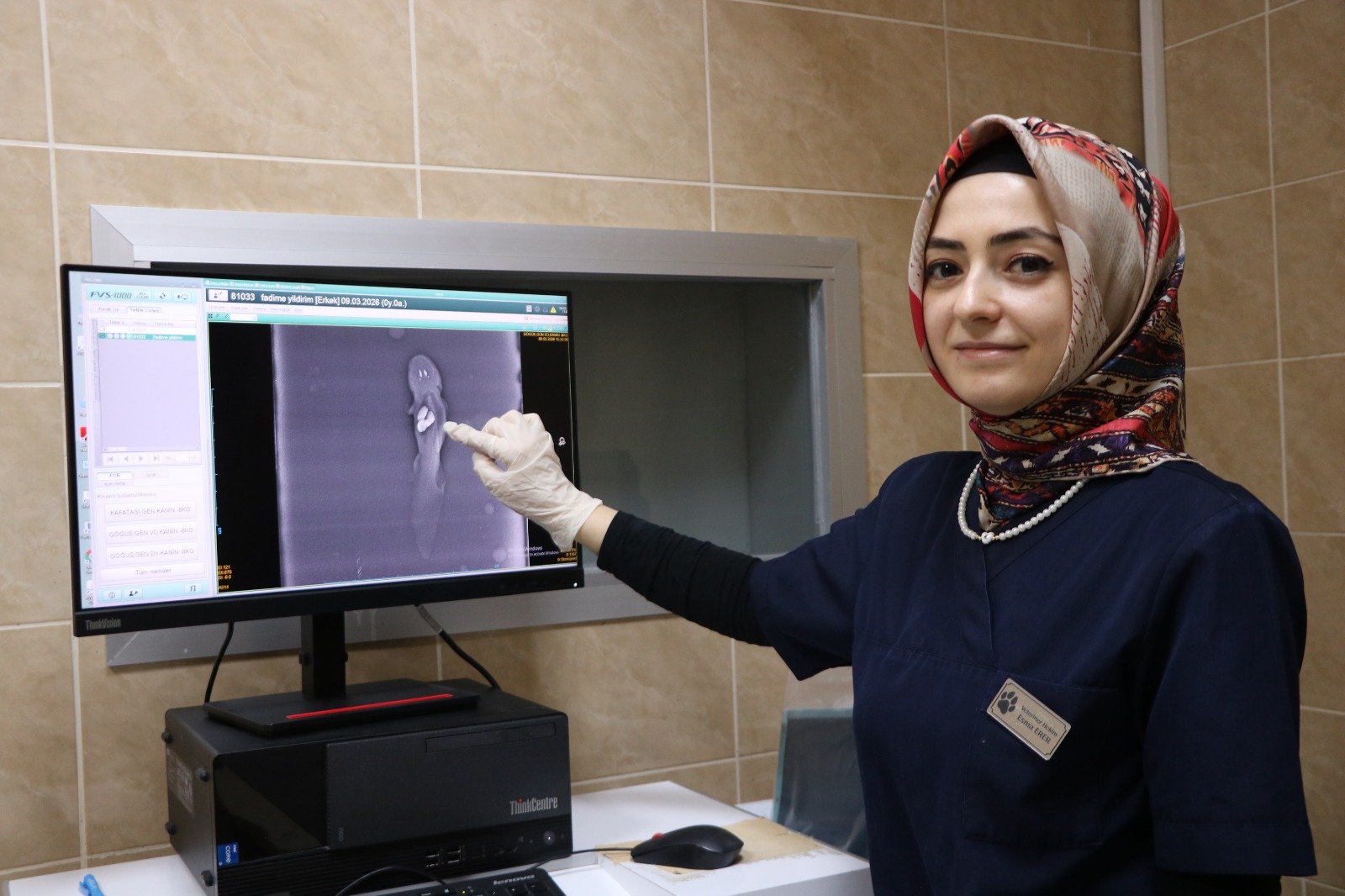 Öykü GENÇ/KAYSERİ, (DHA)- KAYSERİ’de akvaryumdaki taşları yutan aksolotl balığı, anestezi