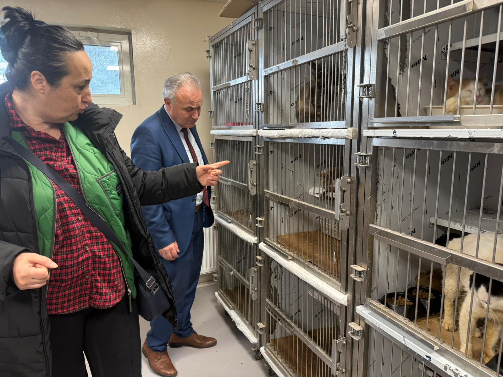 Gizem CENGİL/ANKARA, (DHA)- ANKARA'nın Sincan ilçesinde müstakil ev ve bahçesindeki