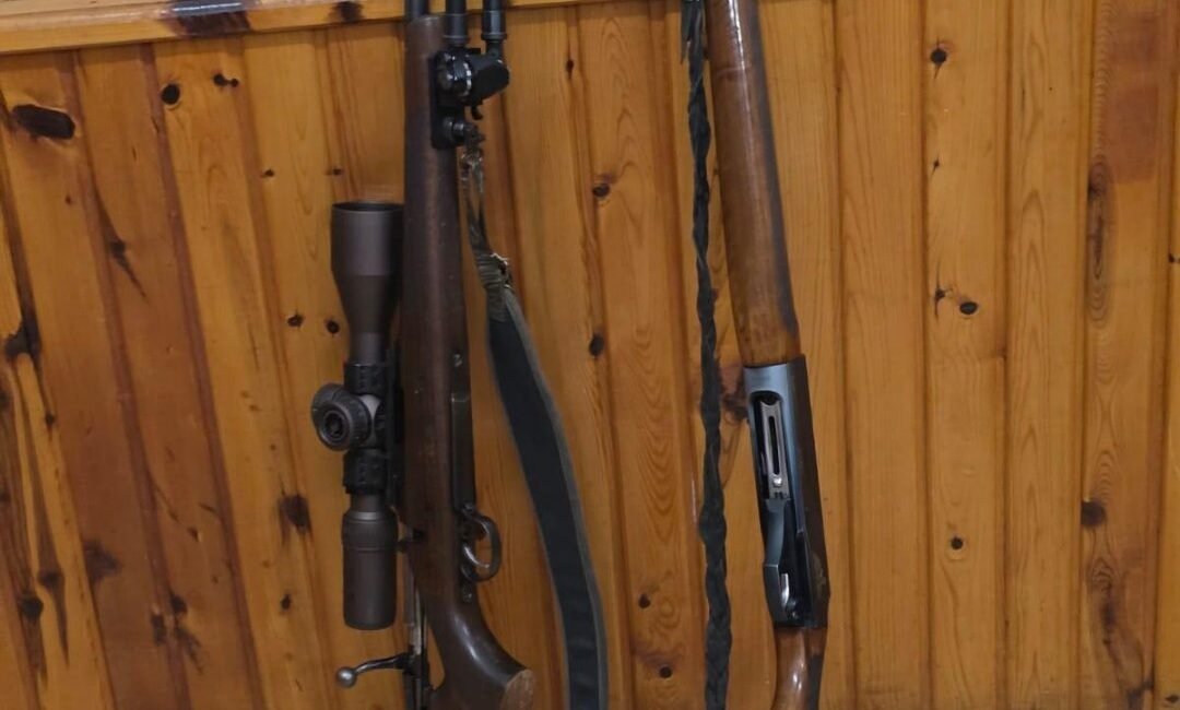 ANKARA, (DHA)- ANTALYA’nın Akseki ilçesinde bir yaban keçisi ve bir