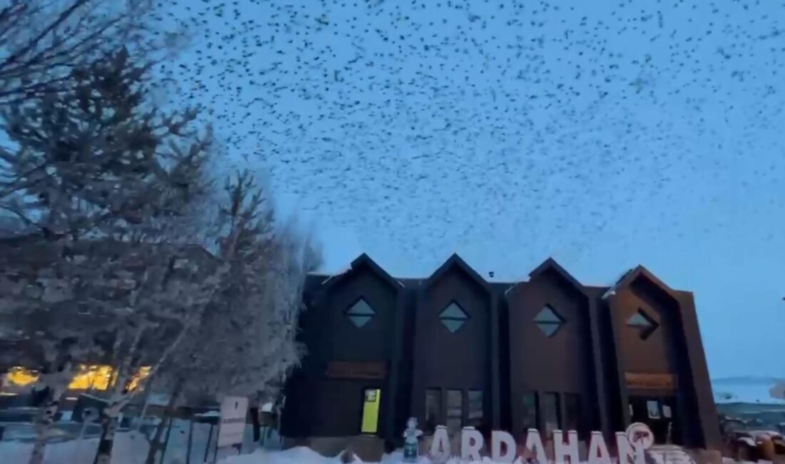 Deniz BAŞLI/ARDAHAN, (DHA)- ARDAHAN kent merkezinde dün akşam saatlerinde ortaya