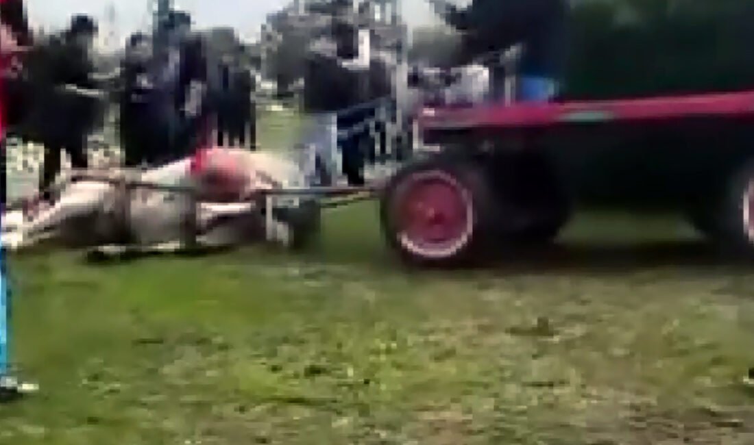 Yusuf YILDIZ/ADANA, (DHA)- ADANA’da koşmadıkları gerekçesiyle arabaya bağlı atlarından birini