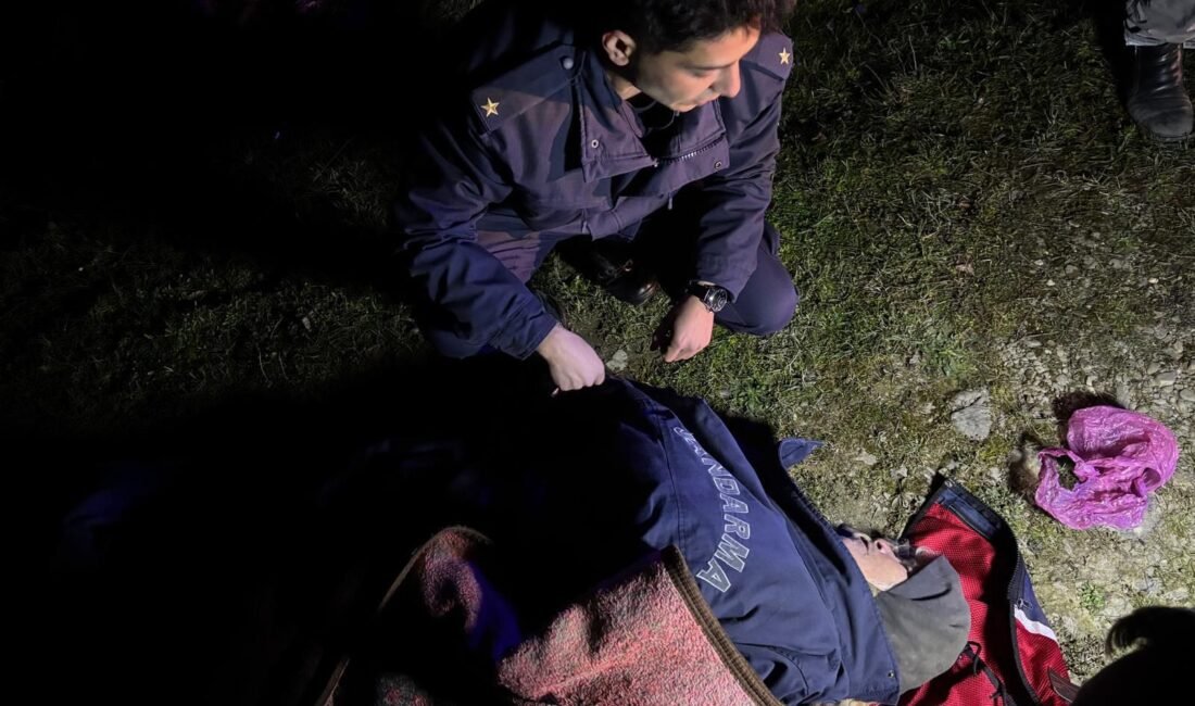 Ayhan ACAR/ULUS (Bartın), (DHA)- BARTIN'ın Ulus ilçesinde kendisine ulaşılamayınca arama