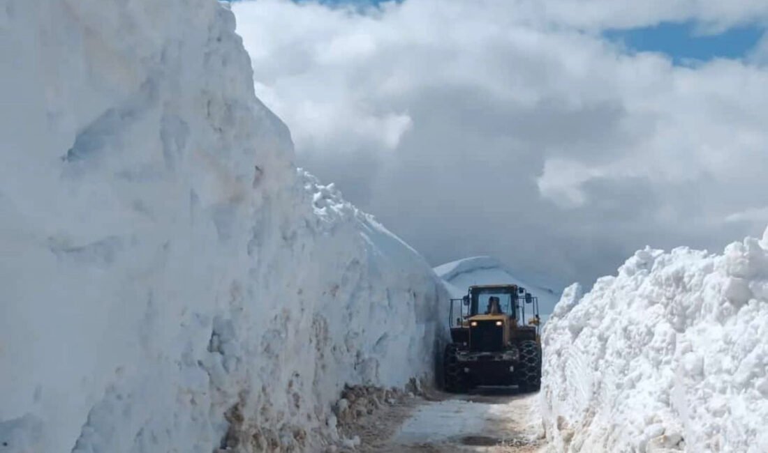 Özcan ÇİRİŞ/BİTLİS, (DHA)- BİTLİS'te etkili olan yağışların ardından meydana gelen