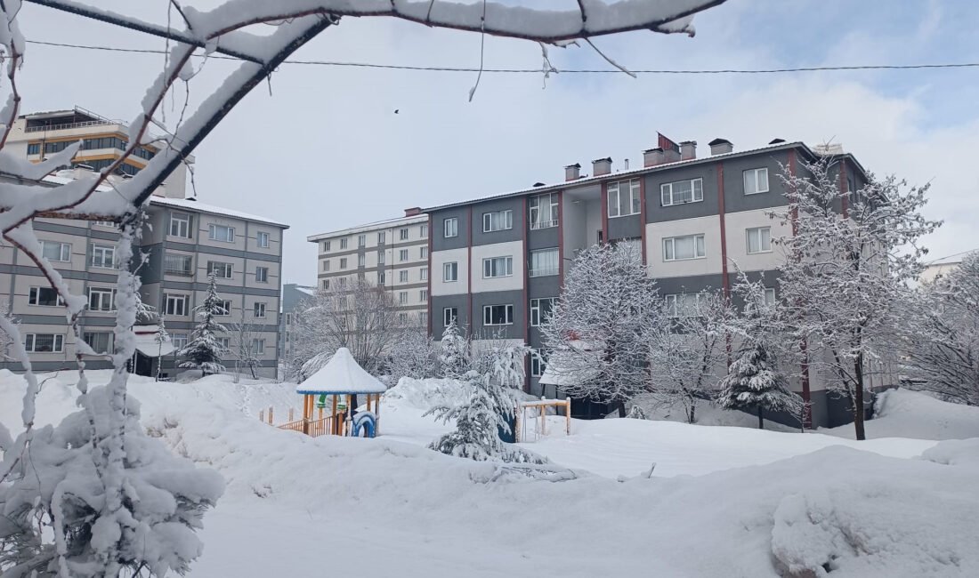 Özcan ÇİRİŞ/BİTLİS, (DHA)- BİTLİS’te etkili olan kar nedeniyle 5 köy