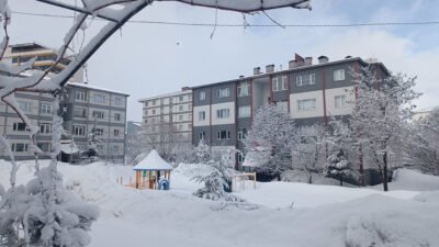 Özcan ÇİRİŞ/BİTLİS, (DHA)- BİTLİS’te etkili olan kar nedeniyle 5 köy