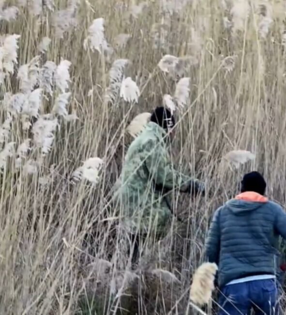 ANKARA, (DHA)-BURDUR'da Doğa Koruma ve Milli Parklar Genel Müdürlüğü (DKMP)