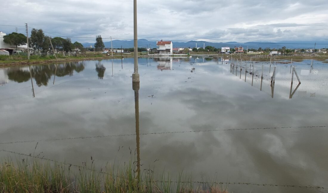 Sefer TALAY/BURHANİYE (Balıkesir), (DHA)- BALIKESİR'in Burhaniye ilçesinde sağanak etkili oldu,