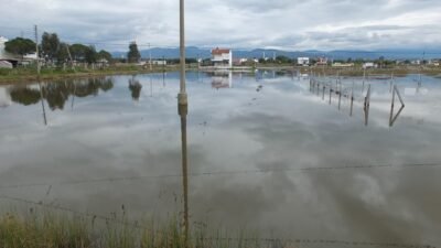 Sefer TALAY/BURHANİYE (Balıkesir), (DHA)- BALIKESİR'in Burhaniye ilçesinde sağanak etkili oldu,