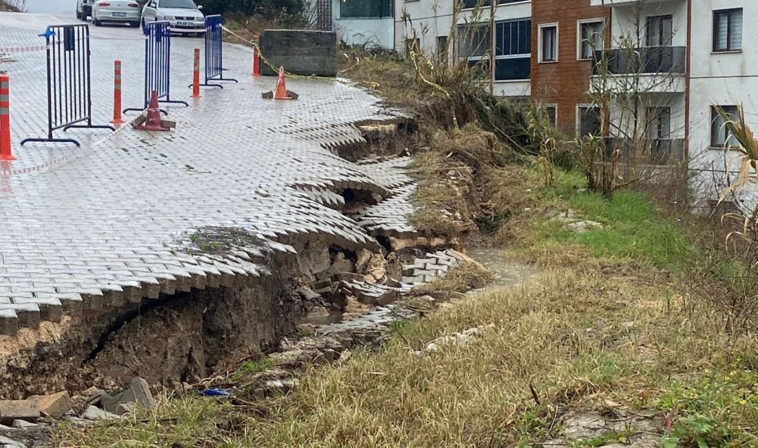 AĞAÇ DEVRİLDİ, YOL ÇÖKTÜ Bursa’nın Mudanya ilçesinde de etkisini sürdüren