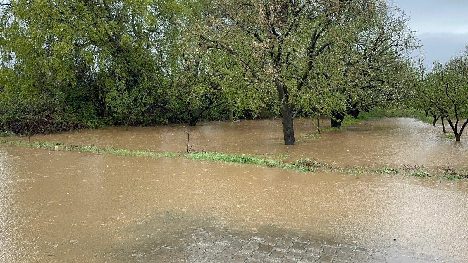KURUYAN DERELER DOLDU, TARIM ARAZİLERİ SU ALTINDA KALDI Bursa'nın İznik
