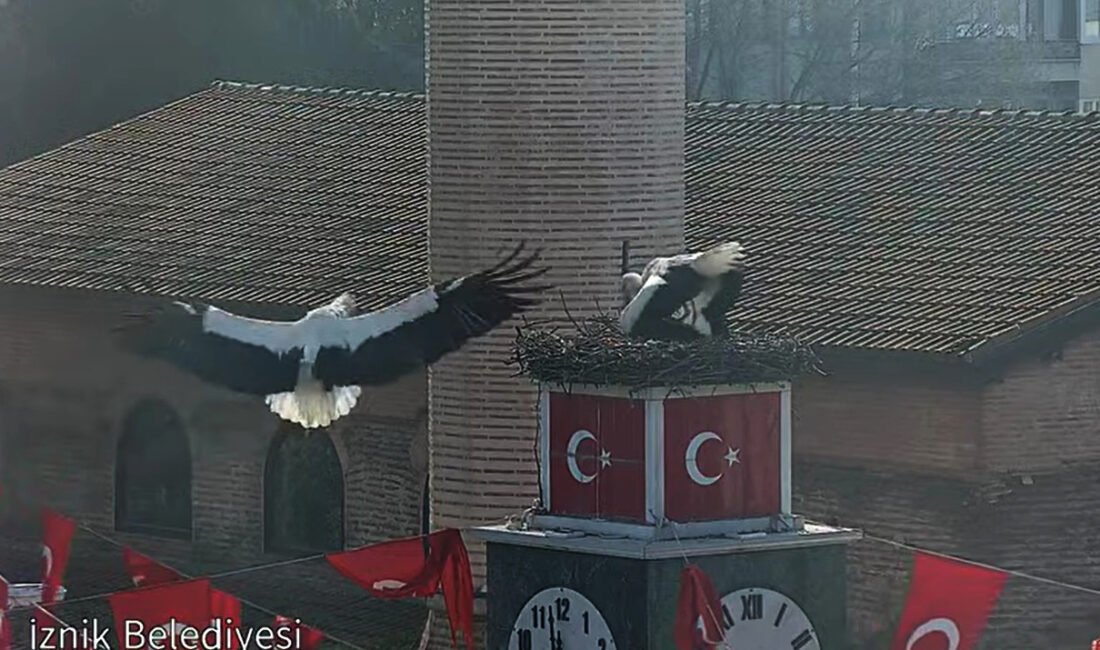 Semih TÜRKER/İZNİK (Bursa), (DHA)-BURSA'nın İznik ilçesinde 'Can' ve 'Canan' adı