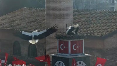 Semih TÜRKER/İZNİK (Bursa), (DHA)-BURSA'nın İznik ilçesinde 'Can' ve 'Canan' adı