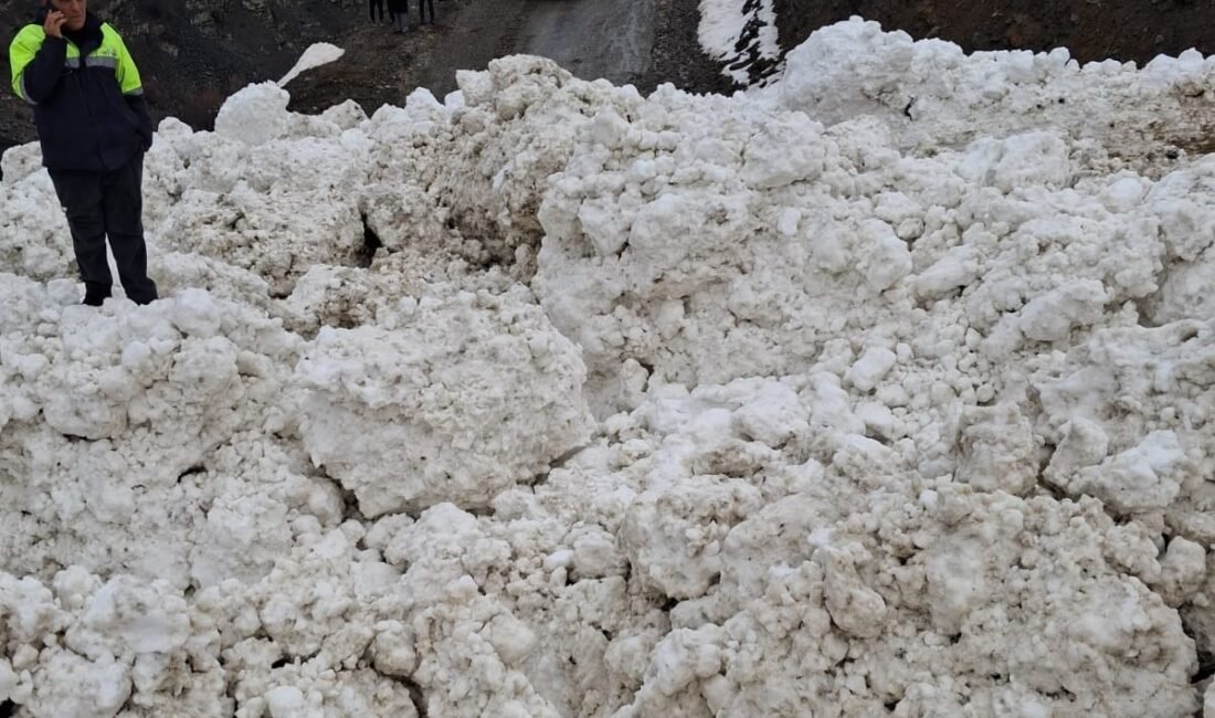 Sedat GÜMÜŞ/ÇATAK (Van), (DHA)- VAN’ın Çatak ilçesine bağlı Korulu Mahallesi