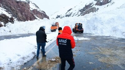 Behçet DALMAZ-Harun AKSU/VAN, (DHA)- ÇIĞ nedeniyle ulaşıma kapanan Van- Hakkari