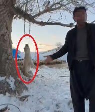 Furkan KAVUKLU/KAYSERİ, (DHA)- KAYSERİ'nin Pınarbaşı ilçesinde kimliği belirsiz kişi, çok