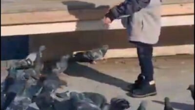 Özgül ATABEY/MUDANYA (Bursa), (DHA)- BURSA’da çöp kamyonunun altında kalıp hayatını