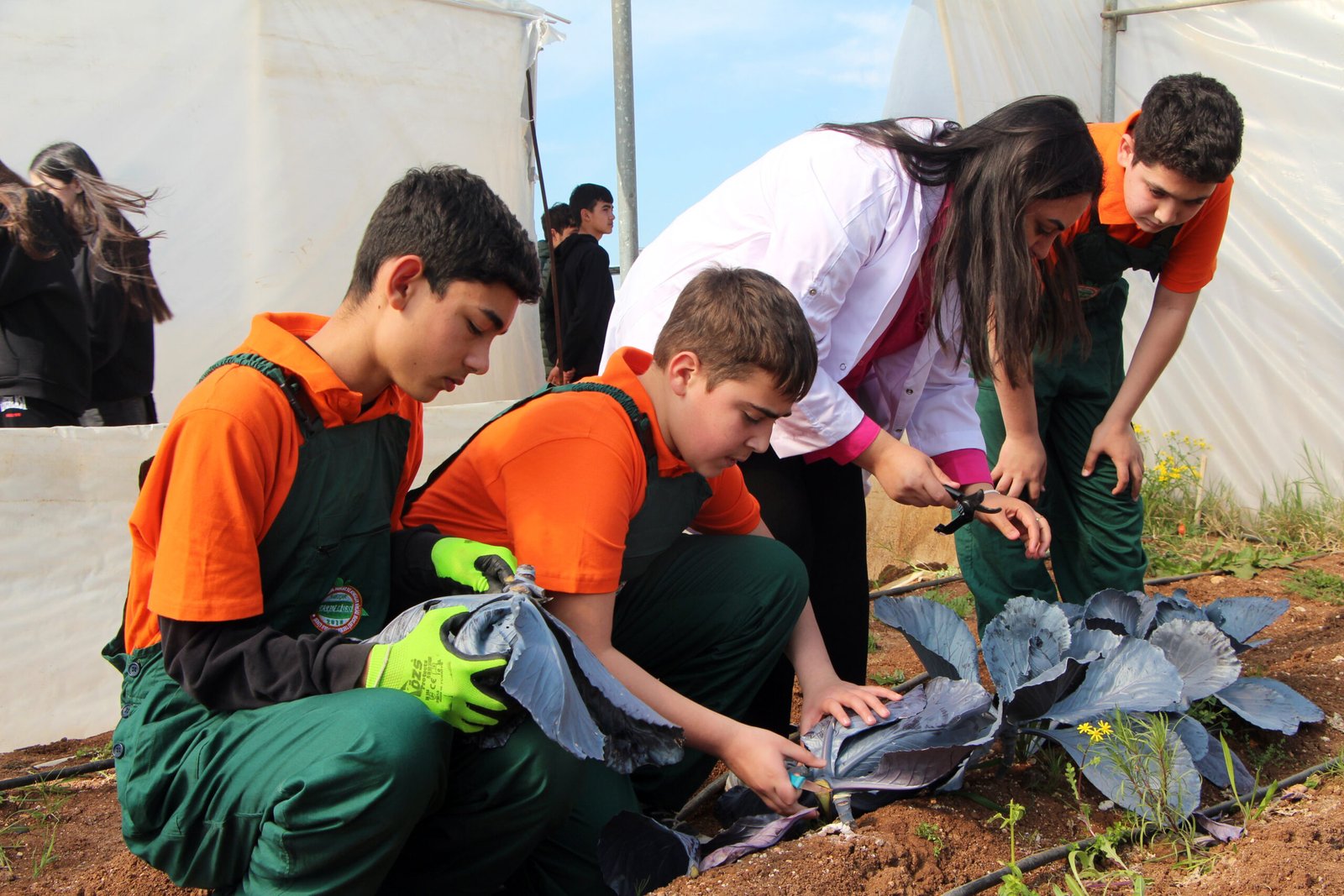 Yusuf YILDIZ-Eser PAZARBAŞI/ADANA, (DHA)- ADANA'da Çukurova'nın bereketli topraklarında yer alan