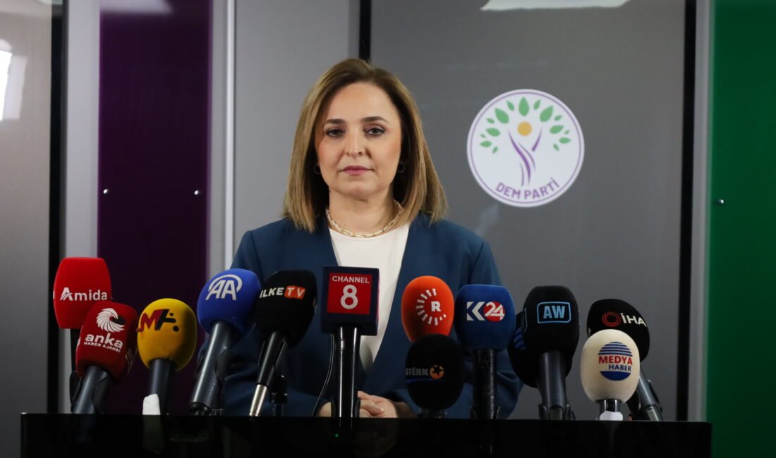 ANKARA, (DHA)- DEM Parti Sözcüsü Ayşegül Doğan, DEM Parti İmralı