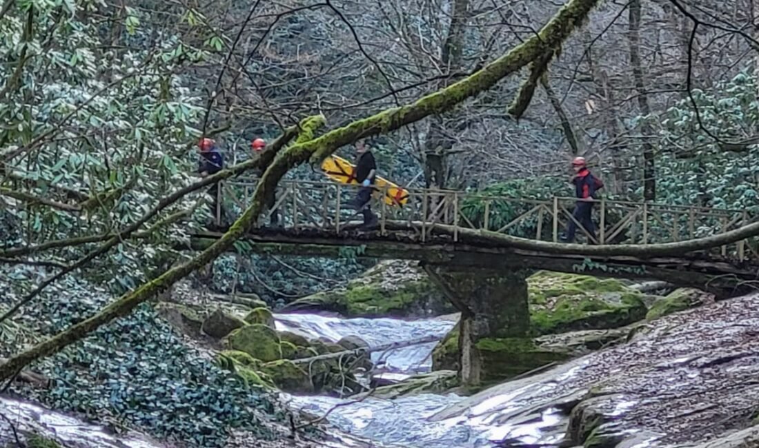 Dereye düşme tehlikesi geçirdi, yardım eden akrabalarıyla uçuruma yuvarlandı: 1 meyyit, 3 yaralı Sinan KABATEPE/ EREĞLİ(Zonguldak), (DHA)- ZONGULDAK’ın Ereğli ilçesinde ormanda yürüyüş yapan