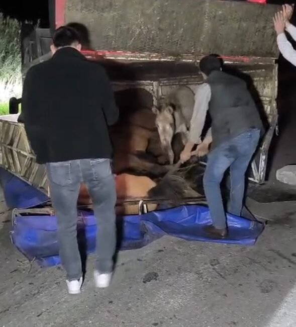 ADANA, (DHA)- ADANA'da sürücüsünün kontrolünü kaybettiği kamyonetin devrildiği kazada aracın