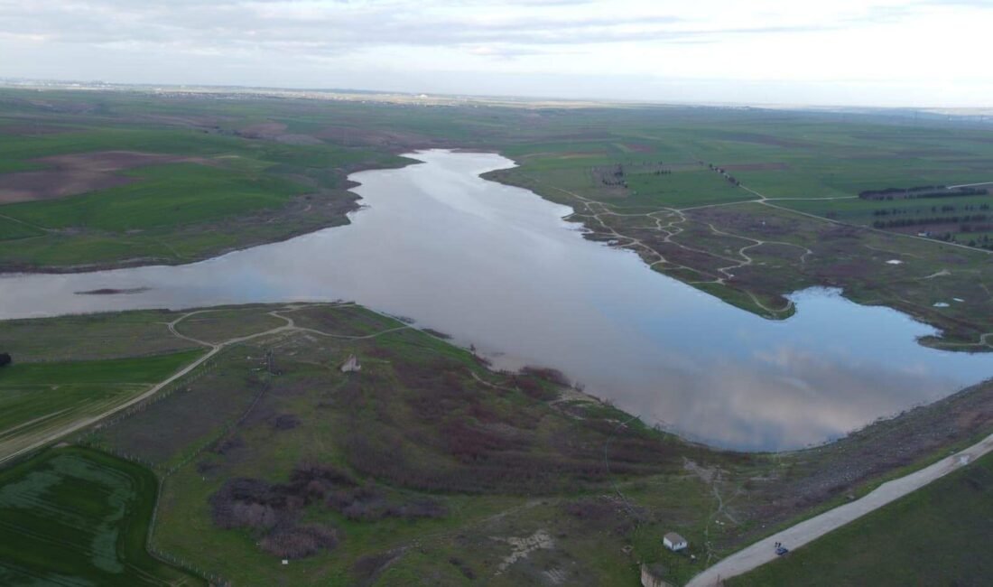 Mehmet YİRUN-Şafak TAŞOYAR/TEKİRDAĞ, (DHA)-TEKİRDAĞ'ın Marmaraereğlisi ilçesinde bulunan ve geçen yıl