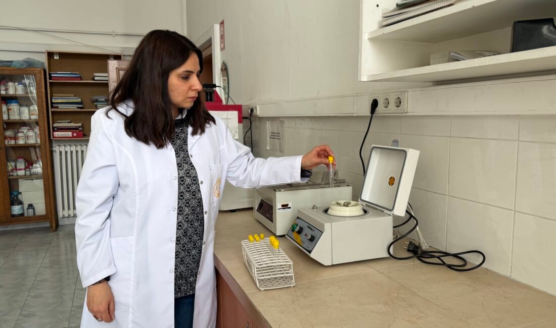 Doğada ölü bulunan hayvanlar üzerinde genetik inceleme Mikail KARAMAN-Ayşenur DEMİRTAŞ GÜL/ANKARA, (DHA)- ANKARA Üniversitesi Fen Fakültesi Biyoloji