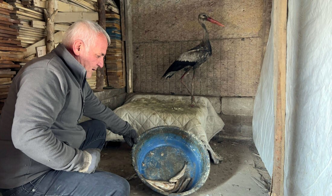 Donmak üzereyken bulduğu leyleği, 2,5 aylık bakım sonrası doğaya bıraktı Yaşar KAPLAN/YÜKSEKOVA (Hakkari), (DHA)- HAKKARİ'nin Yüksekova ilçesinde İlhan Akış (50),