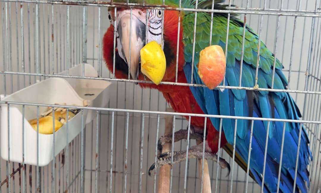 Ünsal YÜCEL/İPSALA(Edirne),(DHA)-EDİRNE'deki İpsala Sınır Kapısı'nda bir araçta yapılan aramada, yasa