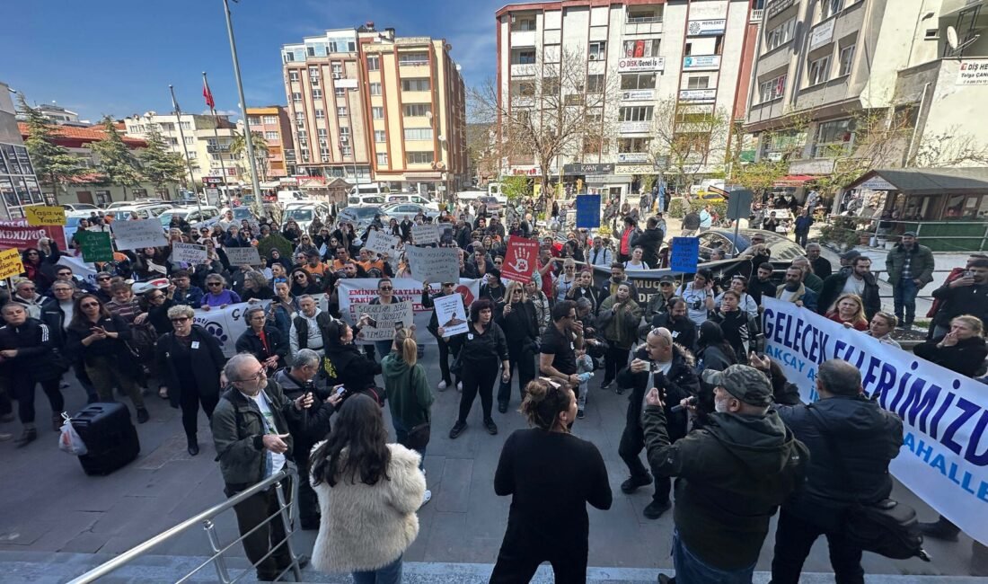 Abdulkadir AYDINIŞIK/ EDREMİT(Balıkesir), (DHA)- BALIKESİR'in Erdemit ilçesinde 9 gün önce