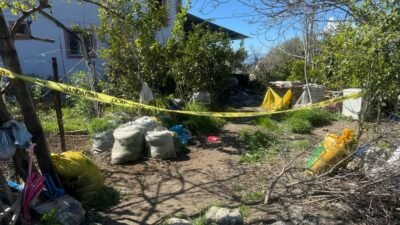 Sedat ÜNAL/SEYDİKEMER (Muğla), (DHA)- MUĞLA'nın Seydikemer ilçesinde Ali Elmadibi (67),