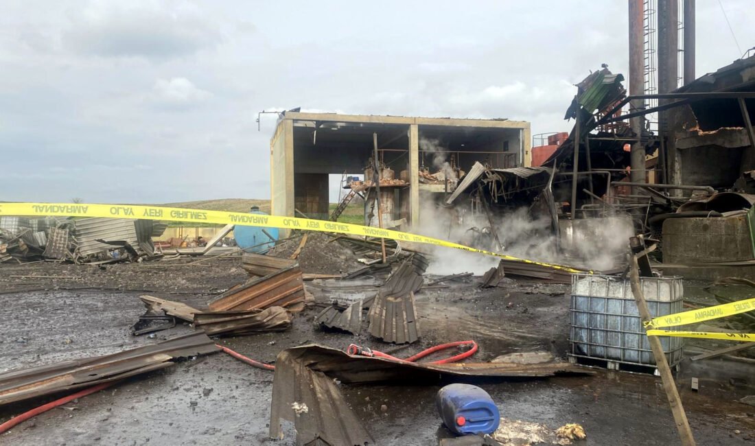 Tuna KARABEY/HAYRABOLU (Tekirdağ), (DHA)- TEKİRDAĞ'ın Hayrabolu ilçesinde kemik tozu üretimi