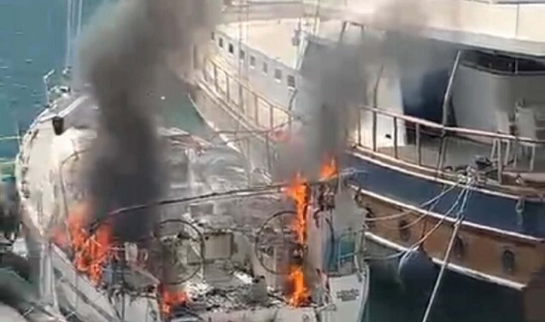 Gülgün KAŞLI/FETHİYE (Muğla), (DHA)- MUĞLA'nın Fethiye ilçesinde İcra Daireleri Kaçakçılık