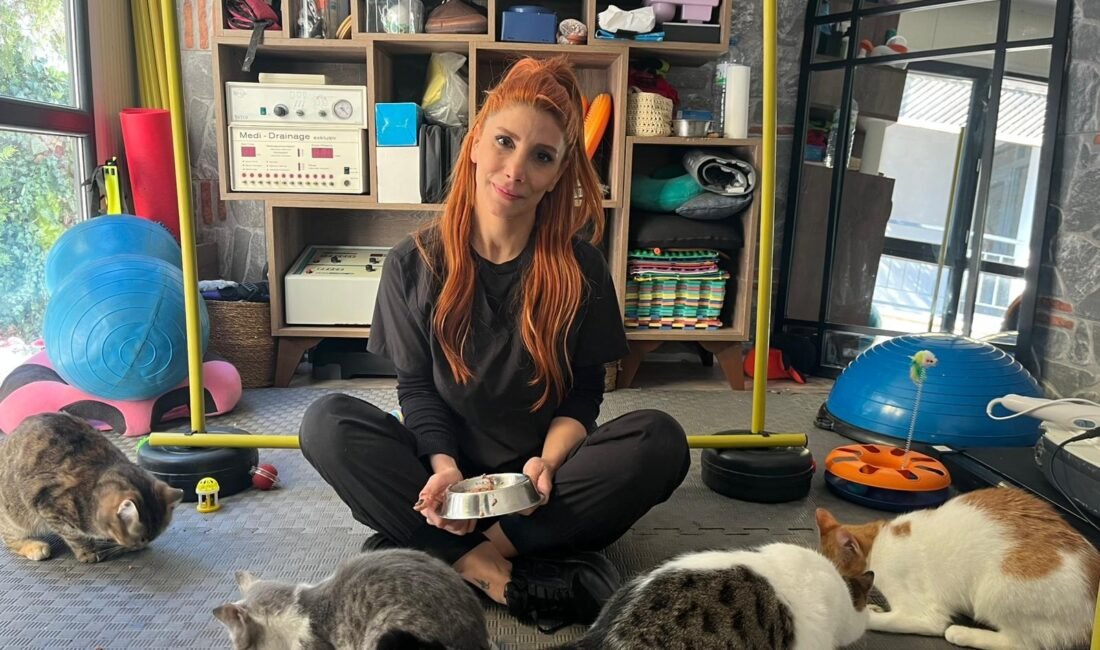 Fizik tedavi gören felçli 4 kedi için yuva arayışı Gizem CENGİL-Ali Oğulcan ARSLAN/ANKARA, (DHA)- ANKARA'da veteriner teknikeri ve fizyoterapist