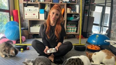 Gizem CENGİL-Ali Oğulcan ARSLAN/ANKARA, (DHA)- ANKARA'da veteriner teknikeri ve fizyoterapist