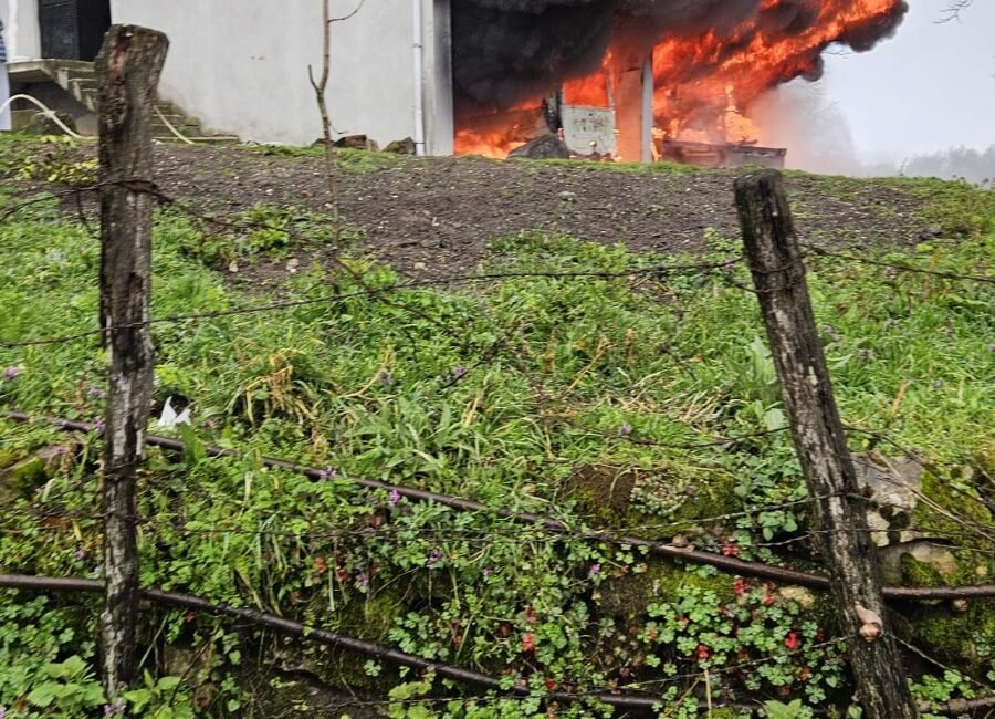 Musa KESKİN/YIĞILCA(Düzce),(DHA) – DÜZCE’nin Yığılca ilçesinde bir evin garajında çıkan