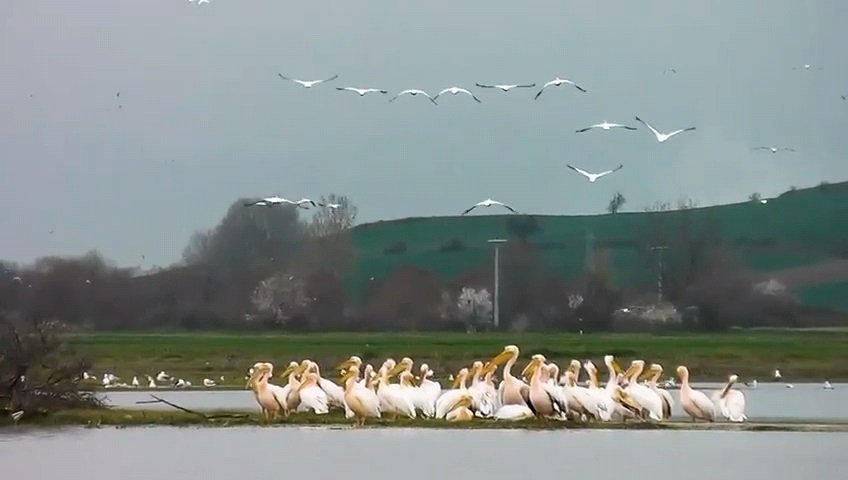 Yavuz YILMAZ/İNEGÖL (Bursa), (DHA)-BURSA'nın İnegöl ilçesindeki Boğazköy Barajı, bahar mevsimin