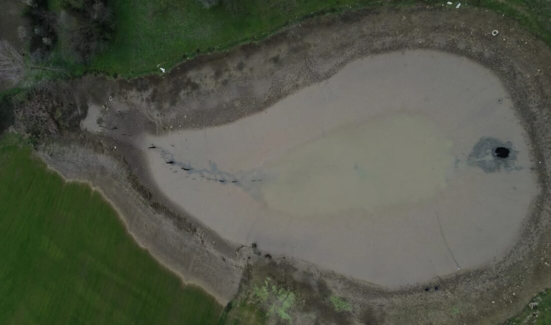 Göletin suyu boşalınca balıklar açıkta kaldı İsa ÇİÇEK/KAYNARCA(Sakarya),(DHA)-SAKARYA'nın Kaynarca ilçesinde Dımbazlar Göleti'ndeki su, daha önce kapatılan