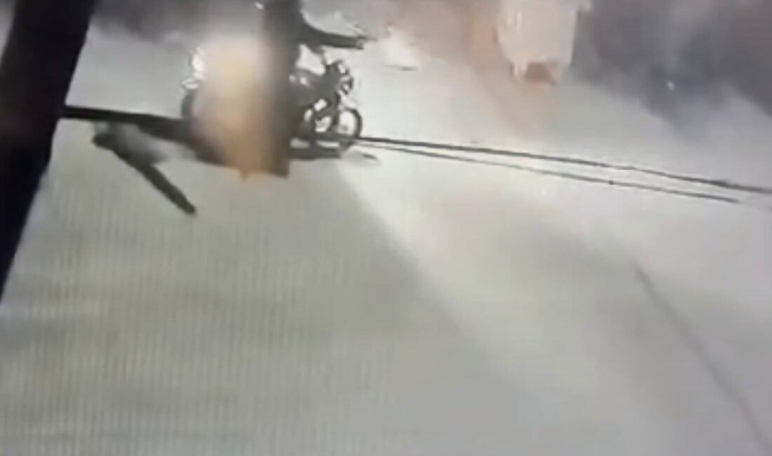 ALİCAN GÜMÜŞ/ HATAY, (DHA)- HATAY'ın Dörtyol ilçesinde bir konutun bahçe