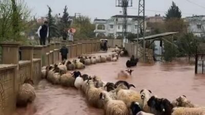 Ferhat DERVİŞOĞLU- Cuma Yunus YAŞATIRU/ REYHANLI(Hatay), (DHA)- HATAY’ın Reyhanlı ilçesinde