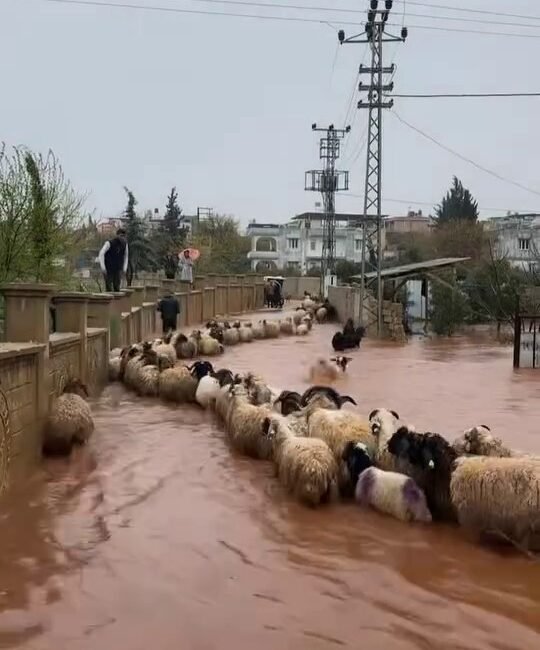 Ferhat DERVİŞOĞLU- Cuma Yunus YAŞATIRU/ REYHANLI(Hatay), (DHA)- HATAY’ın Reyhanlı ilçesinde