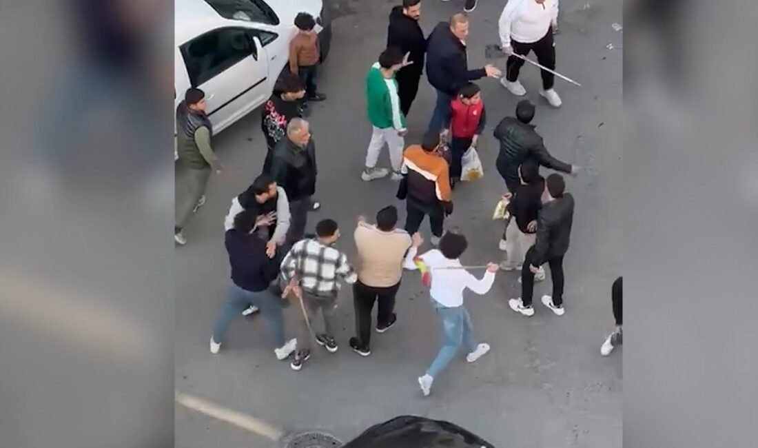Ali LEYLAK/ŞANLIURFA, (DHA)- ŞANLIURFA’da iki küme ortasında çıkan fırça sapı,