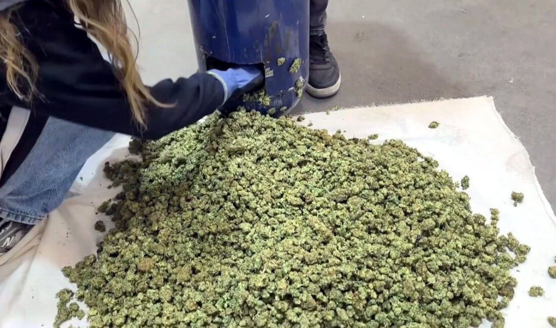 Umut IŞIK/EDİRNE, (DHA)- EDİRNE’den Yunanistan’a açılan İpsala Sınır Kapısı’nda yapılan