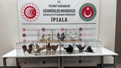 Umut IŞIK/EDİRNE, (DHA)-EDİRNE'den Yunanistan'a açılan İpsala Sınır Kapısı'nda minibüste yapılan